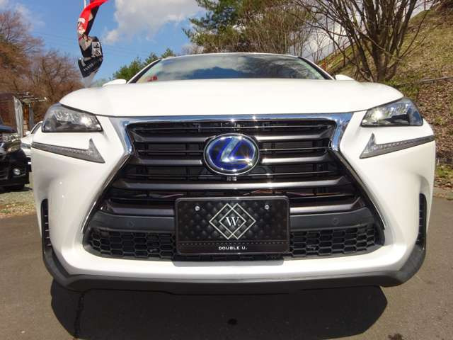 NX300h バージョンL 4WD