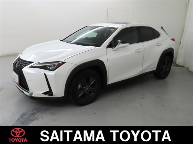 UX250h バージョンC