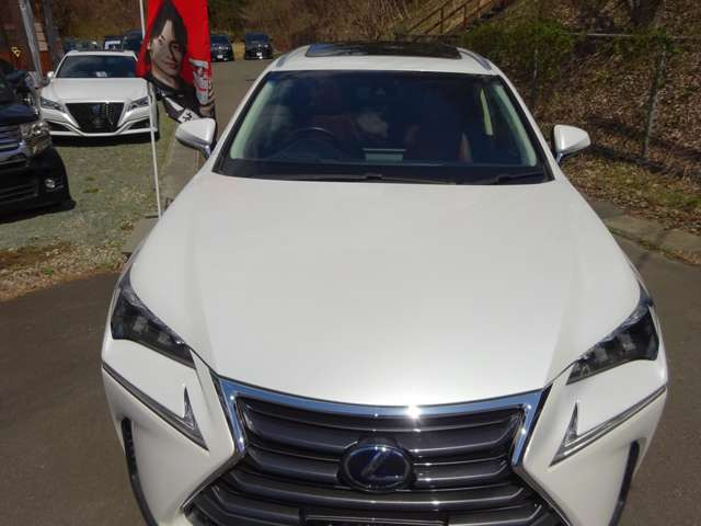 NX300h バージョンL 4WD