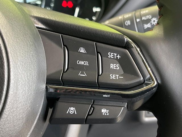 �y�}�c�_�E���[�_�[�N���[�Y�R���g���[���z�������H�ł̒��������s���y��!�����ő��x��ۂN���[�Y�R���g���[�����A�Փˌy���V�X�e���ƘA�g���A�O���̎ԗ������m���ĎԊԂ�ۂ悤�ɑ��x���߂��Ă���܂�!!