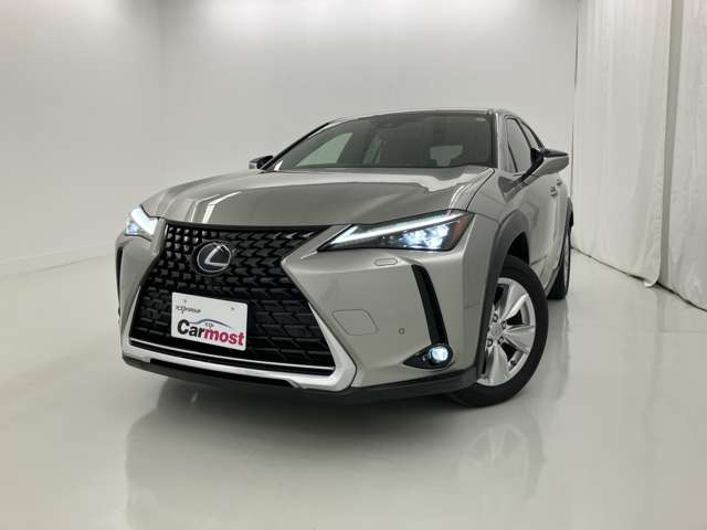 UX250h バージョンC