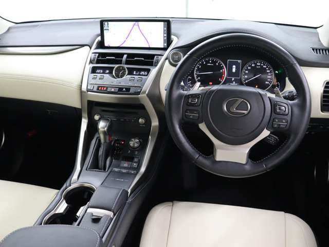 NX300 Iパッケージ