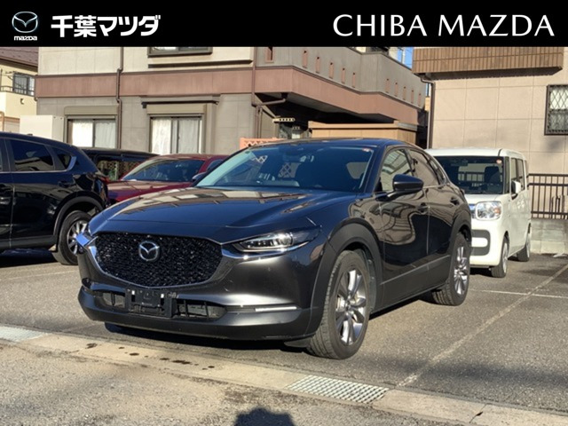 CX-301.8 XD Lパッケージ