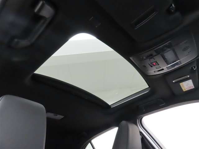 UX250h バージョンC