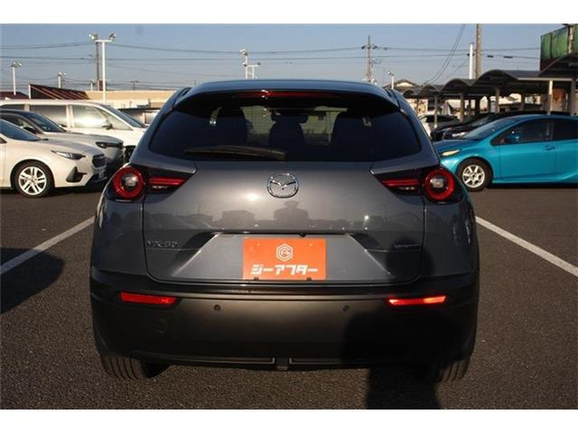 ���Ǝҗl�ւ̔̔��͂��f�肳���Ă��������܂��B �Ԍ������ԗ��̏ꍇ�́A�Ԍ����擾�������x�������z�ŕ\�����Ă���܂��B