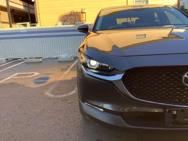 CX-301.8 XD Lパッケージ