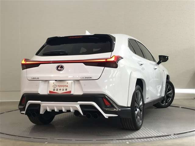 UX250h Fスポーツ