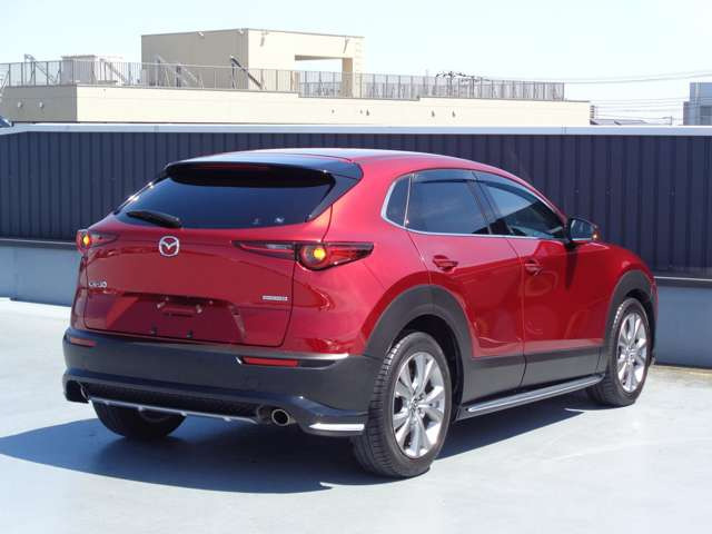 CX-301.8 XD プロアクティブ