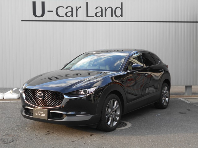 CX-302.0 20S プロアクティブ ツーリングセレクション