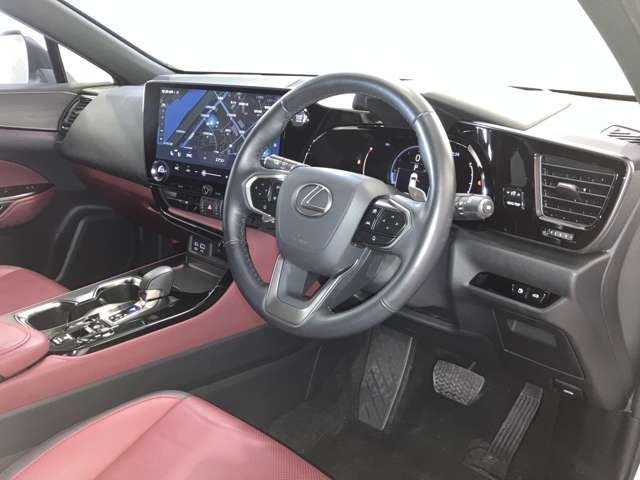 NX250 バージョンL