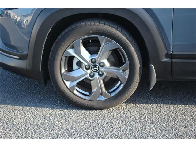 ���Ǝҗl�ւ̔̔��͂��f�肳���Ă��������܂��B �Ԍ������ԗ��̏ꍇ�́A�Ԍ����擾�������x�������z�ŕ\�����Ă���܂��B