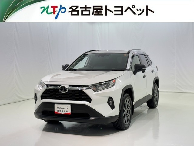RAV42.0 X