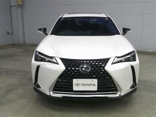 UX250h グレイスフル エクスプローラー