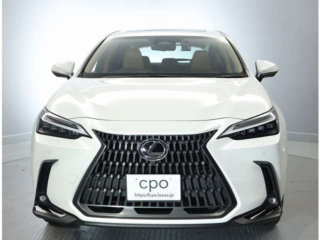 NX350h バージョンL