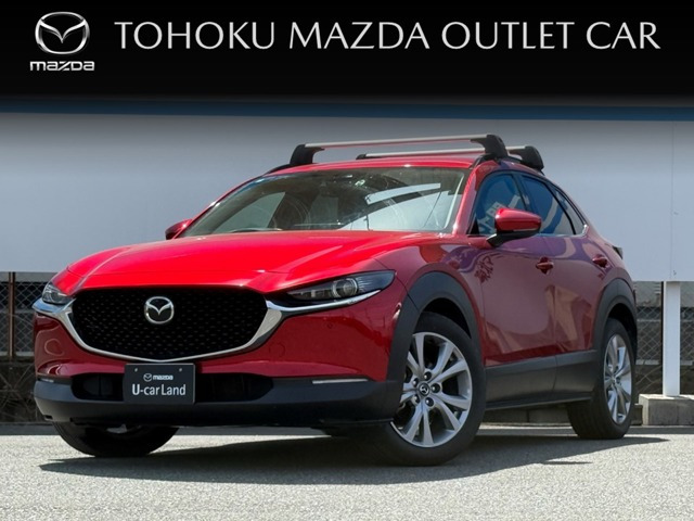 CX-302.0 20S プロアクティブ