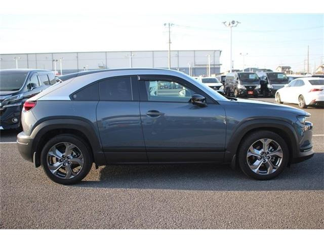 ���Ǝҗl�ւ̔̔��͂��f�肳���Ă��������܂��B �Ԍ������ԗ��̏ꍇ�́A�Ԍ����擾�������x�������z�ŕ\�����Ă���܂��B