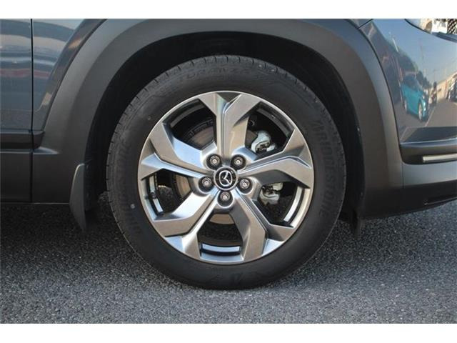 ���Ǝҗl�ւ̔̔��͂��f�肳���Ă��������܂��B �Ԍ������ԗ��̏ꍇ�́A�Ԍ����擾�������x�������z�ŕ\�����Ă���܂��B