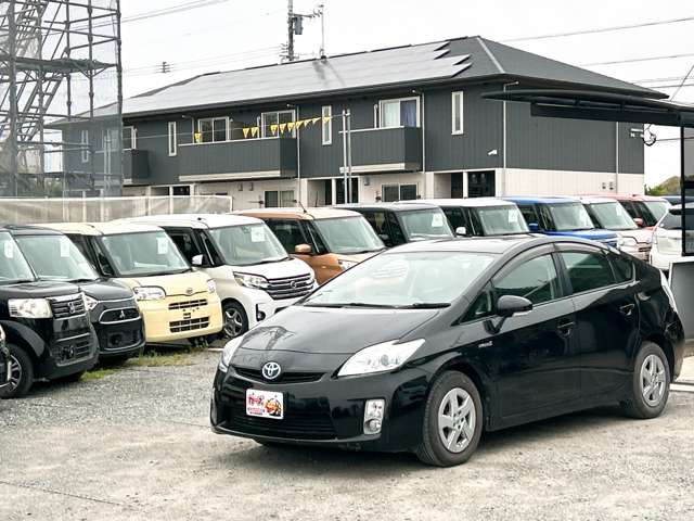 �y39.8���X�J�[�Y�̎��q���������������A���ɂ��肪�Ƃ��������܂��B���������S�s���c1186-7TEL:0942-73-6060�܂ł��⍇����������