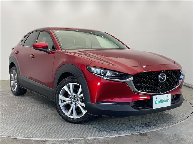 CX-301.8 XD Lパッケージ