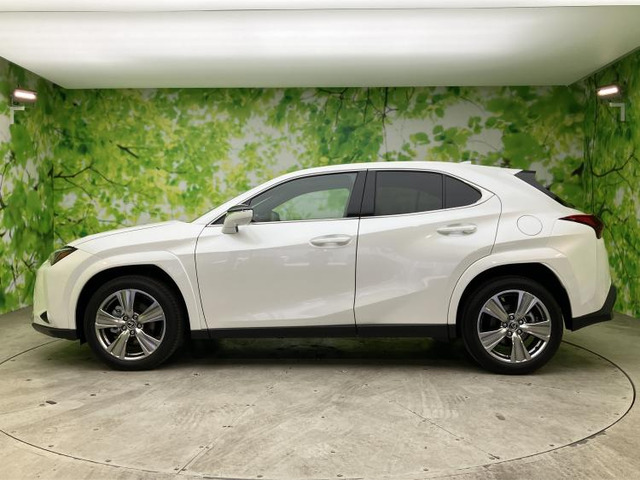 UX300h グレイスフル エクスプローラー