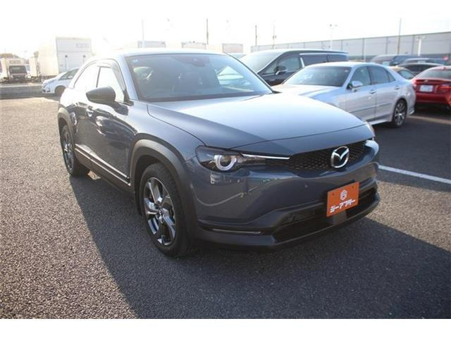 ���Ǝҗl�ւ̔̔��͂��f�肳���Ă��������܂��B �Ԍ������ԗ��̏ꍇ�́A�Ԍ����擾�������x�������z�ŕ\�����Ă���܂��B