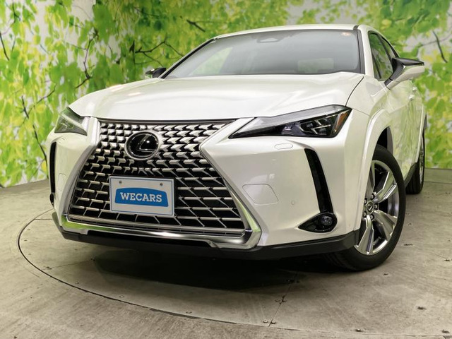 UX300h グレイスフル エクスプローラー