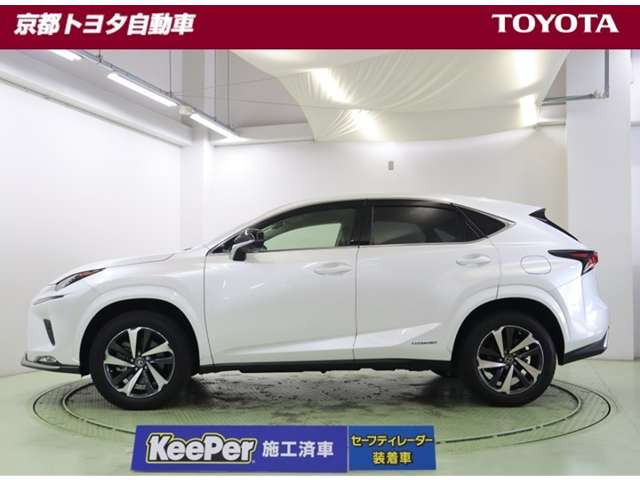 NX300h スパイス&amp;シック 4WD