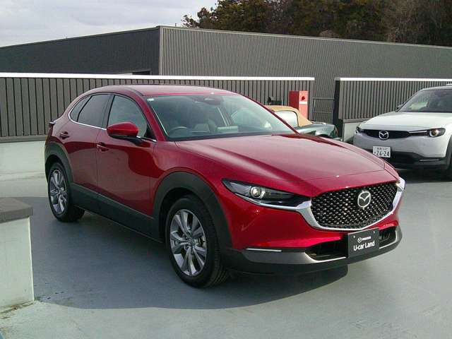 CX-301.8 XD プロアクティブ ツーリングセレクション