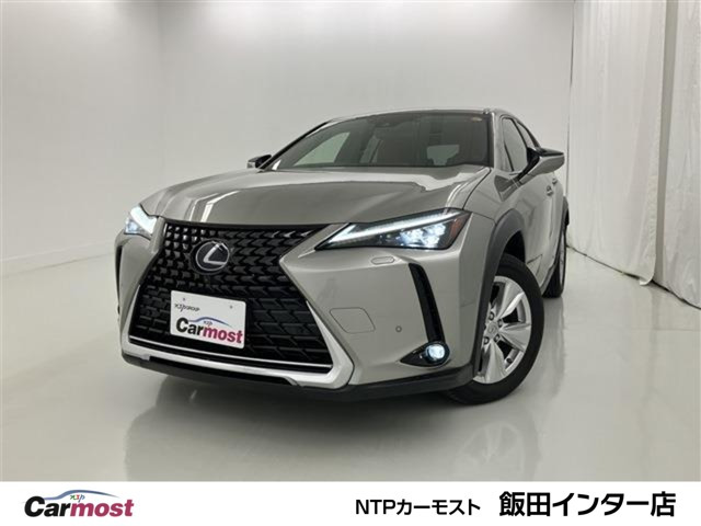 UX250h バージョンC