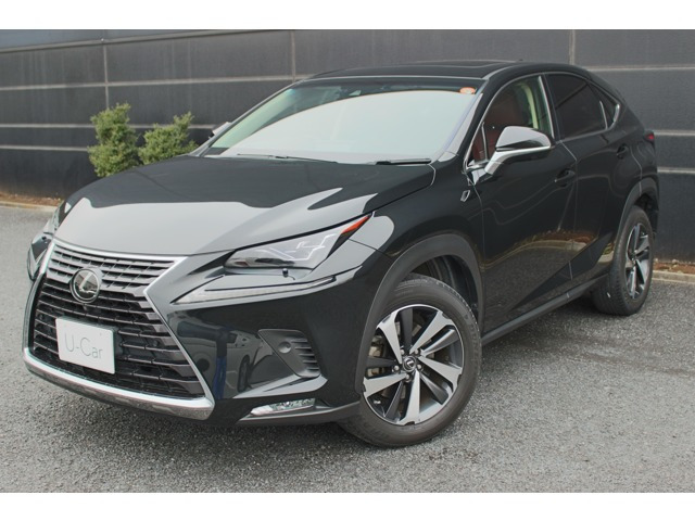 NX300 バージョンL