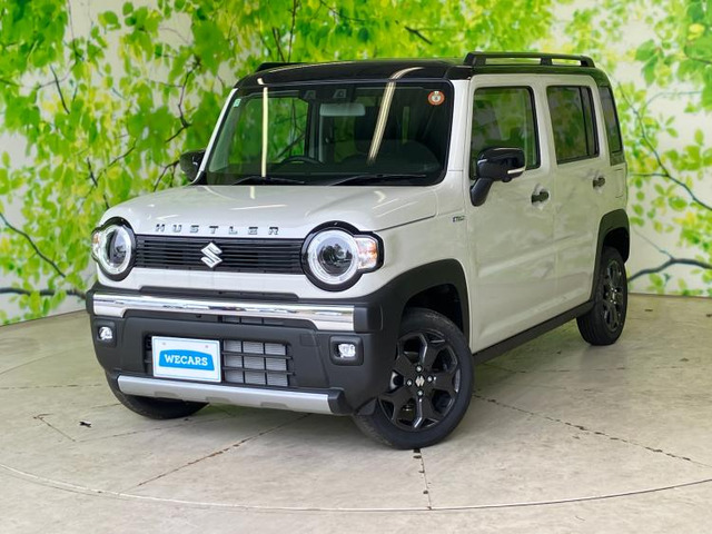 ハスラータフワイルド