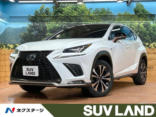 NX300h Fスポーツ