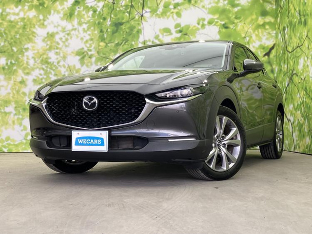 CX-302.0 20S プロアクティブ