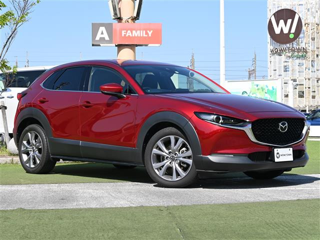 CX-302.0 20S プロアクティブ