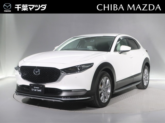 CX-301.8 XD Lパッケージ