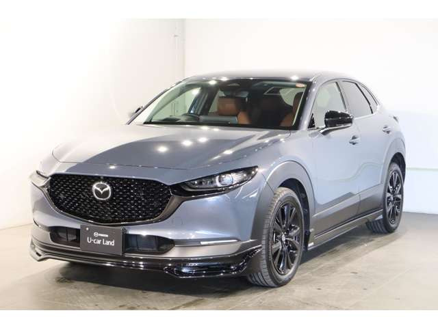 CX-302.0 20S レトロスポーツエディション 4WD