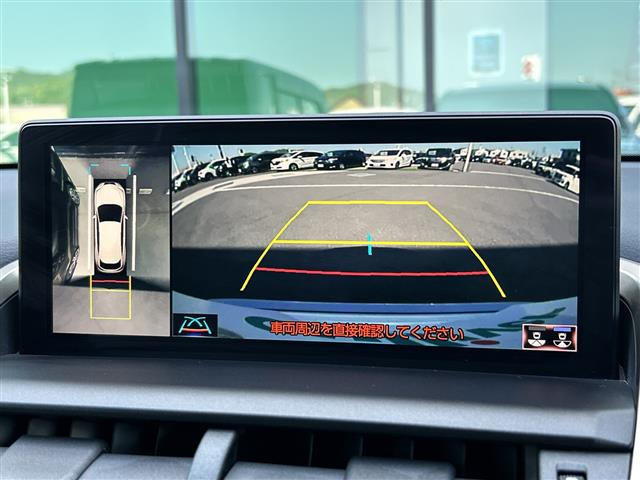 NX300h Fスポーツ