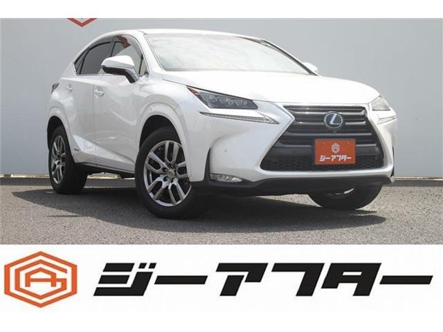 NX300h バージョンL