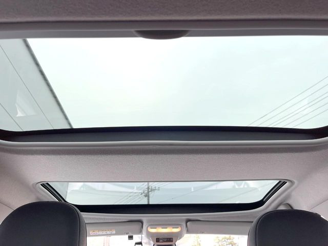 ���p�m���}�~�b�N�K���X���[�t:�唗�͂̃p�m���}���[�t�́A�㕔���Ȃɂ܂ő����Ă���A�J���I�ȋ�Ԃ����y���݂��������܂��B