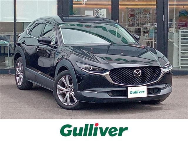 CX-301.8 XD Lパッケージ