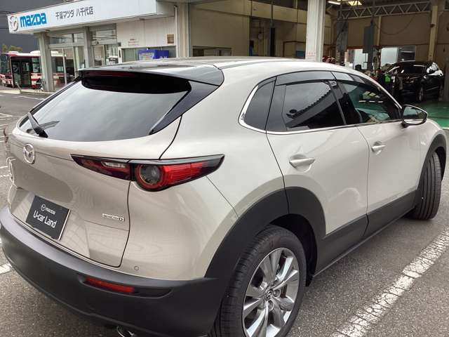 CX-301.8 XD ツーリング