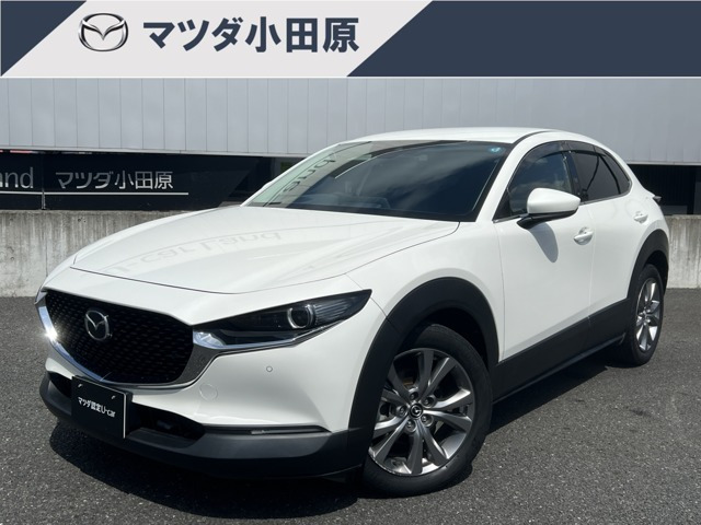 CX-301.8 XD プロアクティブ