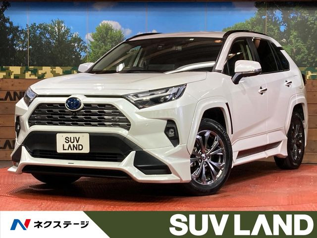 RAV42.5 ハイブリッド G E-Four 4WD
