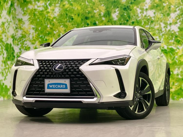 UX250h バージョンL