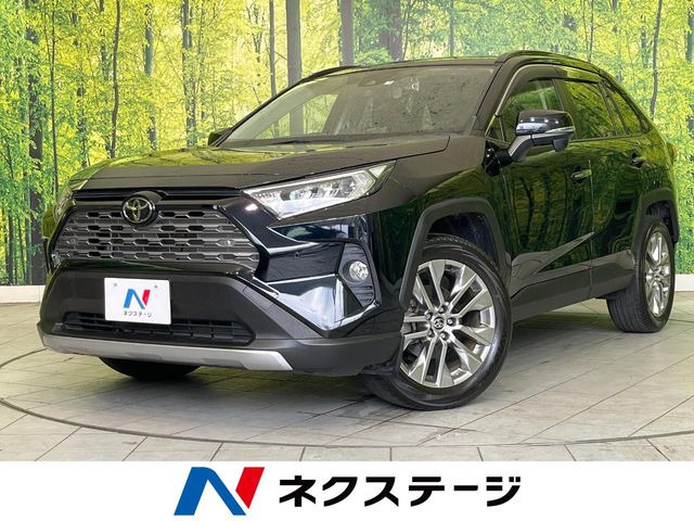 RAV42.0 G Zパッケージ 4WD