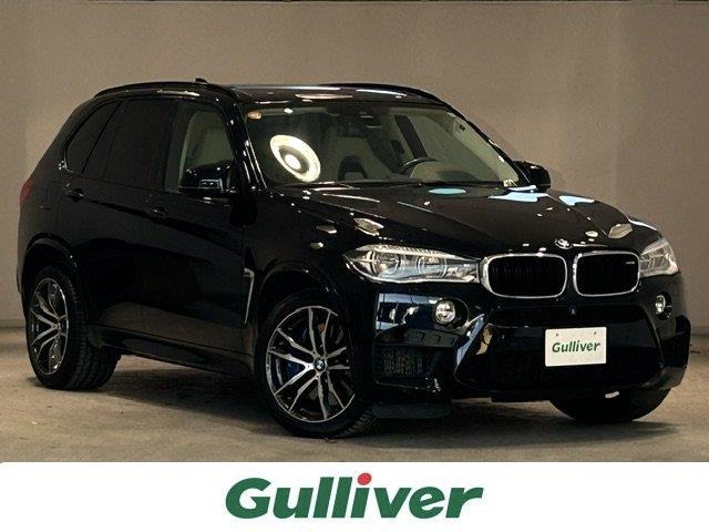 X5 M4.4 4WD