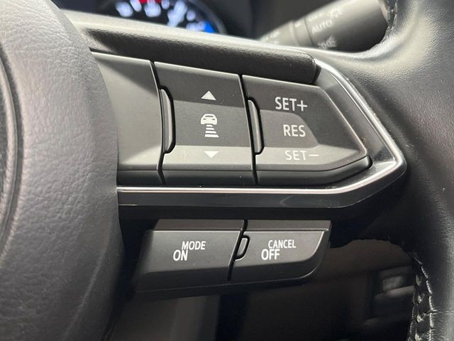 �y�}�c�_�E���[�_�[�N���[�Y�R���g���[���z�������H�ł̒��������s���y��!�����ő��x��ۂN���[�Y�R���g���[�����A�Փˌy���V�X�e���ƘA�g���A�O���̎ԗ������m���ĎԊԂ�ۂ悤�ɑ��x���߂��Ă���܂�!!