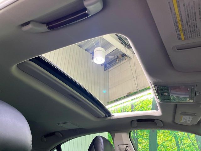 �y�T�����[�t�z�J���������Ղ�̊󏭑����A�T�����[�t����������Ă��܂�!�ԓ��ɖ�����������ꂽ��i�F���y���ވȊO�ɂ��A�ԓ��̋�C���ȒP�Ɋ��C�ł��ĉ��K�ł�!