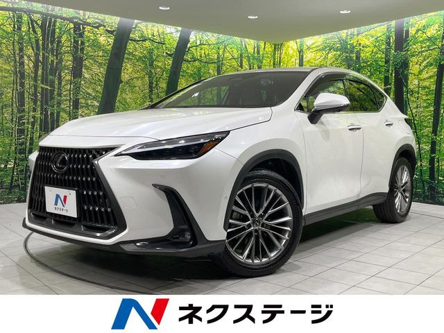 NX350h バージョンL