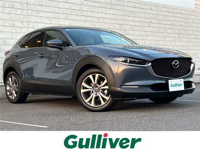 CX-301.8 XD Lパッケージ